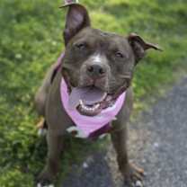 Thumbnail photo of Brandi #3