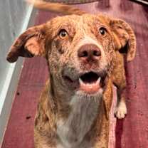 Thumbnail photo of Coffee #1