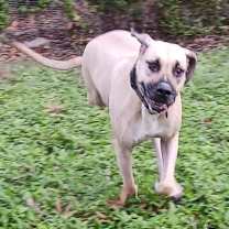 Thumbnail photo of Cal #3