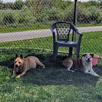 Thumbnail photo of Eep *bonded with Ugga* #3