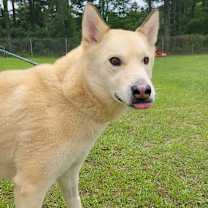 Thumbnail photo of Casper 3567 #3