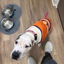 Thumbnail photo of Riley #2