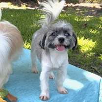 Thumbnail photo of Cassie & Cindy #4