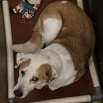 Thumbnail photo of Jazzlynn #3