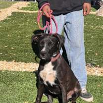 Thumbnail photo of Jenny #1