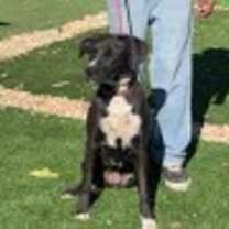 Thumbnail photo of Jenny #2