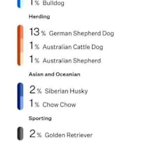 Thumbnail photo of Jenny #4