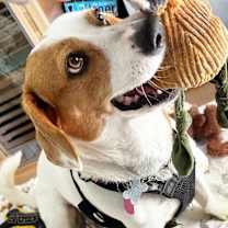 Thumbnail photo of TERE #1