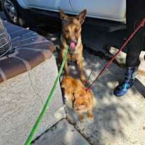 Thumbnail photo of Coffee and Toffee #1