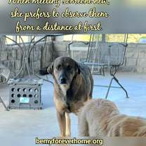 Thumbnail photo of Sarah #4