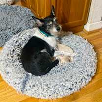 Thumbnail photo of Rainy #3