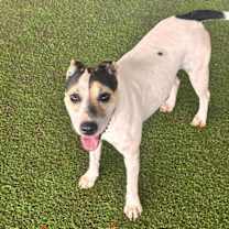 Thumbnail photo of Olympia #2