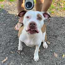 Thumbnail photo of Coop #2