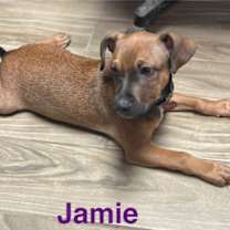 Thumbnail photo of Jamie #4