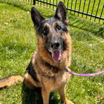 Thumbnail photo of Titan #1