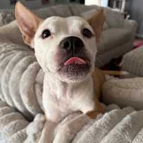 Thumbnail photo of Maggie #1