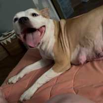 Thumbnail photo of Maggie #2