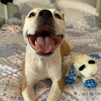 Thumbnail photo of Maggie #3