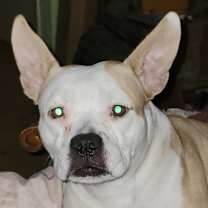 Thumbnail photo of Maggie #4