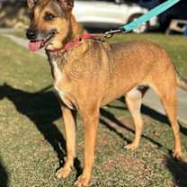 Thumbnail photo of Athena #2