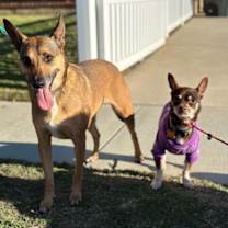 Thumbnail photo of Athena #3