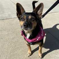 Thumbnail photo of Drake #1