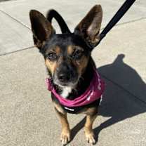 Thumbnail photo of Drake #2