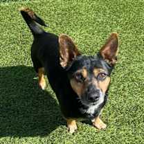 Thumbnail photo of Drake #3