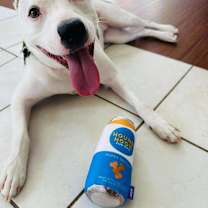 Thumbnail photo of NYLAH #4