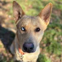 Thumbnail photo of Atlas #1