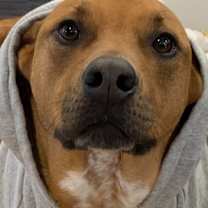 Thumbnail photo of Colby #1