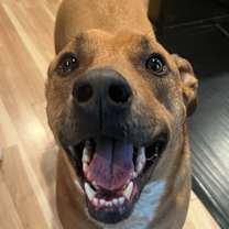 Thumbnail photo of Colby #2