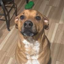 Thumbnail photo of Colby #3