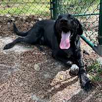 Thumbnail photo of Patron #4