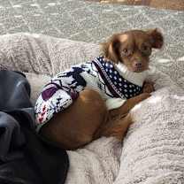 Thumbnail photo of Drea #2