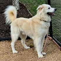 Thumbnail photo of JUMPING JACK JUNIOR #3