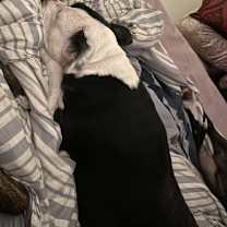 Thumbnail photo of Dorothy #2