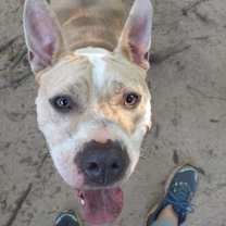 Thumbnail photo of Lydia #1