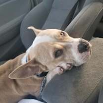 Thumbnail photo of Lydia #2