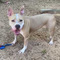 Thumbnail photo of Lydia #3