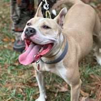 Thumbnail photo of Lydia #4