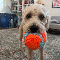 Thumbnail photo of Bisbee #3