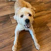 Thumbnail photo of Bisbee #4