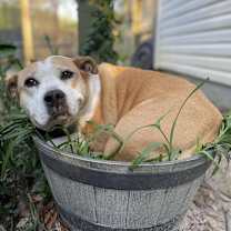 Thumbnail photo of Maybell #4