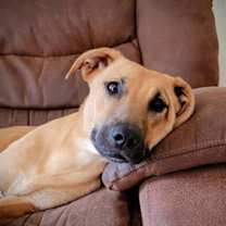 Thumbnail photo of Sakari #1