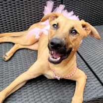 Thumbnail photo of Sakari #2