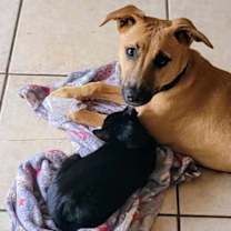 Thumbnail photo of Sakari #4