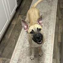 Thumbnail photo of Peep #1