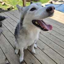 Thumbnail photo of Memphis #4