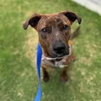 Thumbnail photo of Java #2